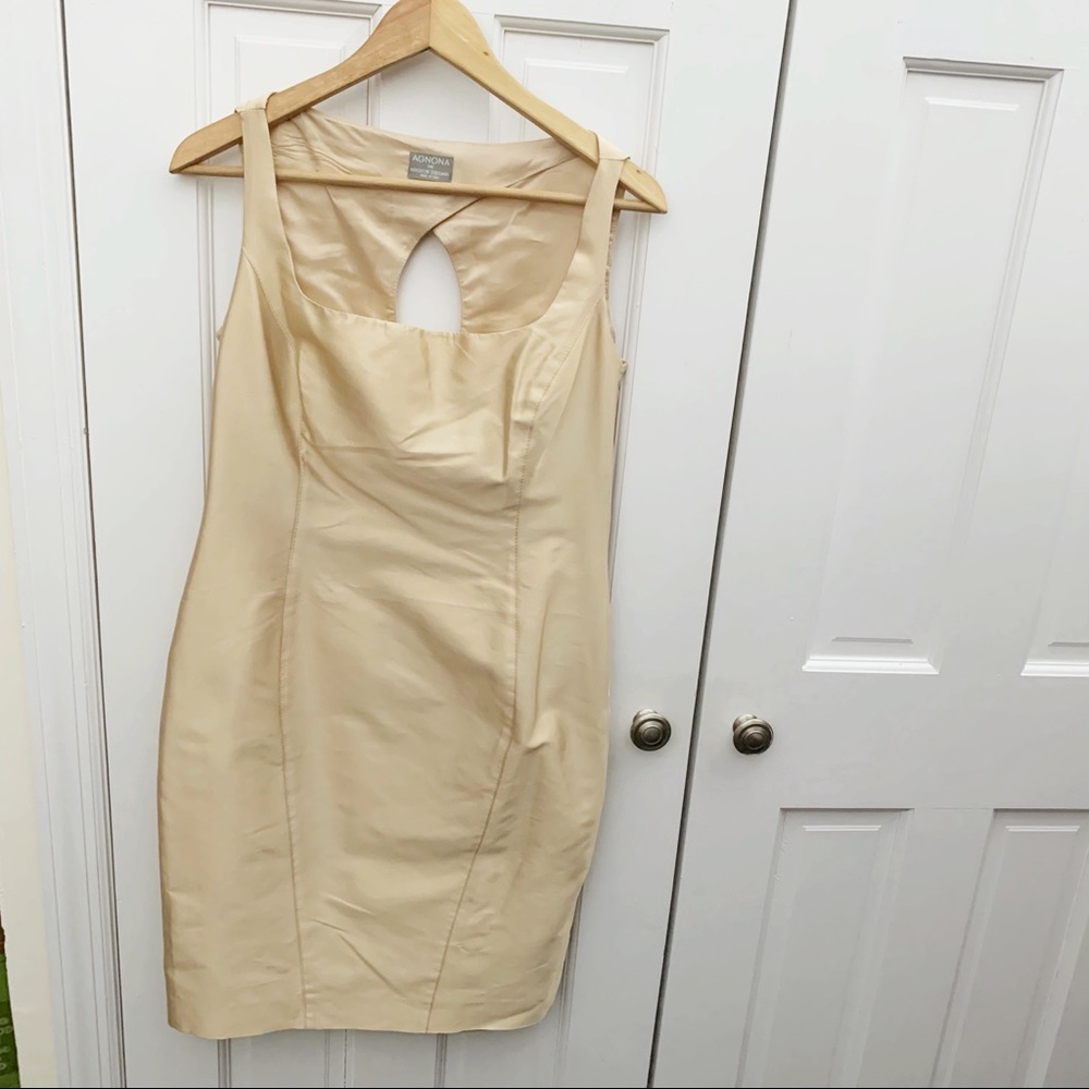 Agnona Champagne Sheath Dress